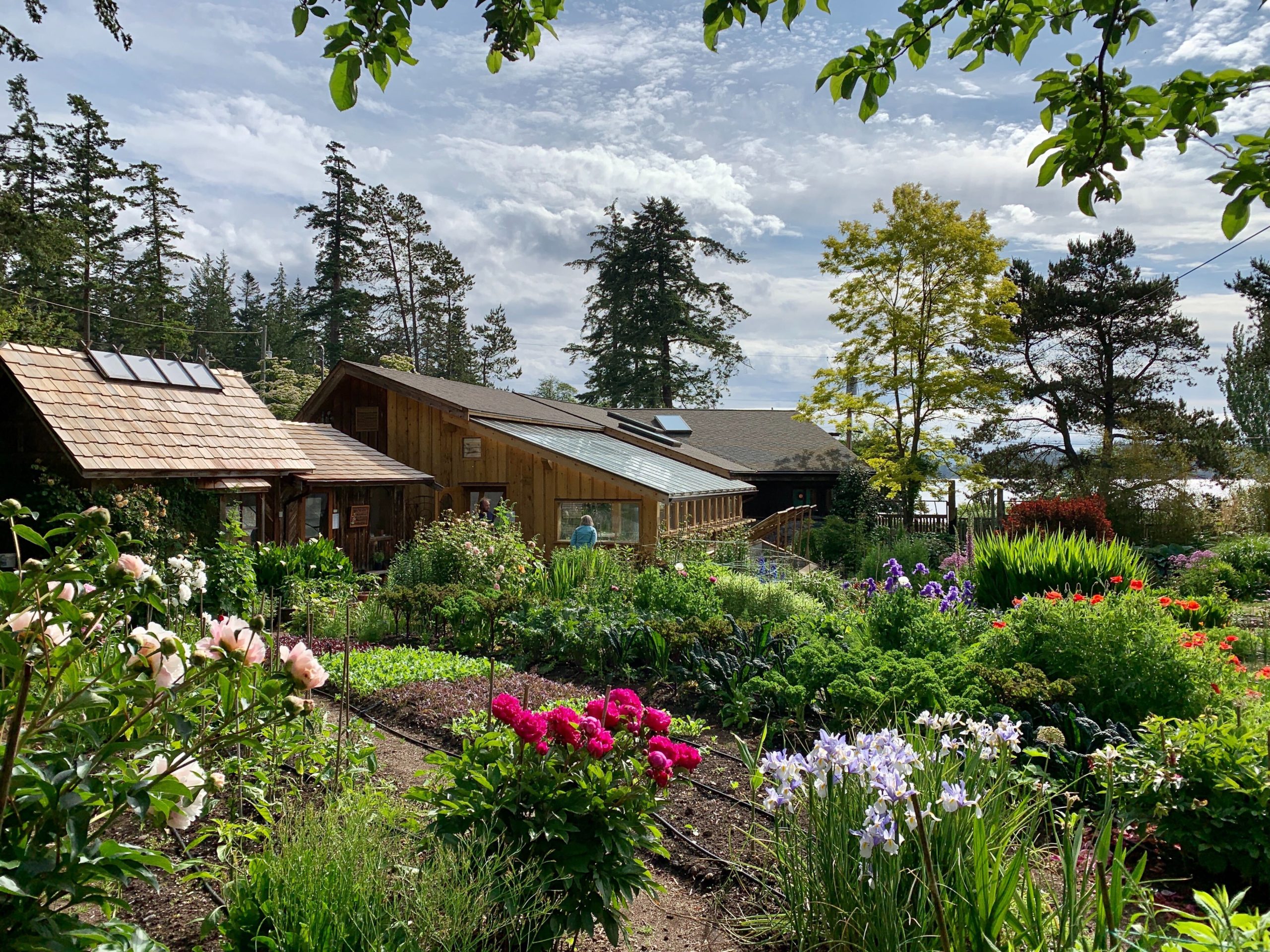 Beautiful gardens and houses at Hollyhock retreat centre in Cortes Island, BC