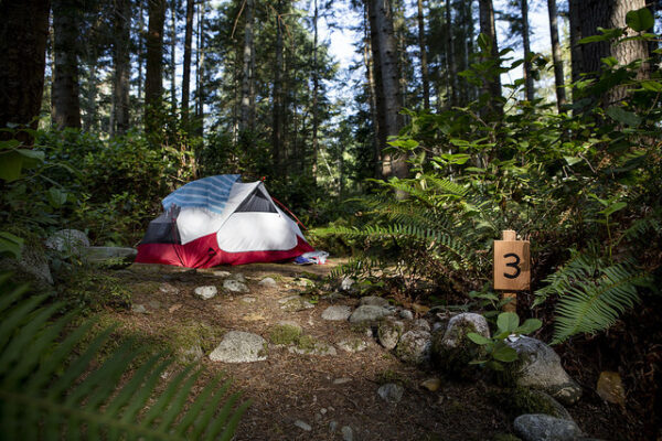 Cortes Island Accommodation | Hollyhock