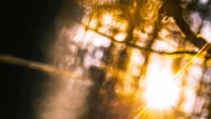 Moving into the light with AI