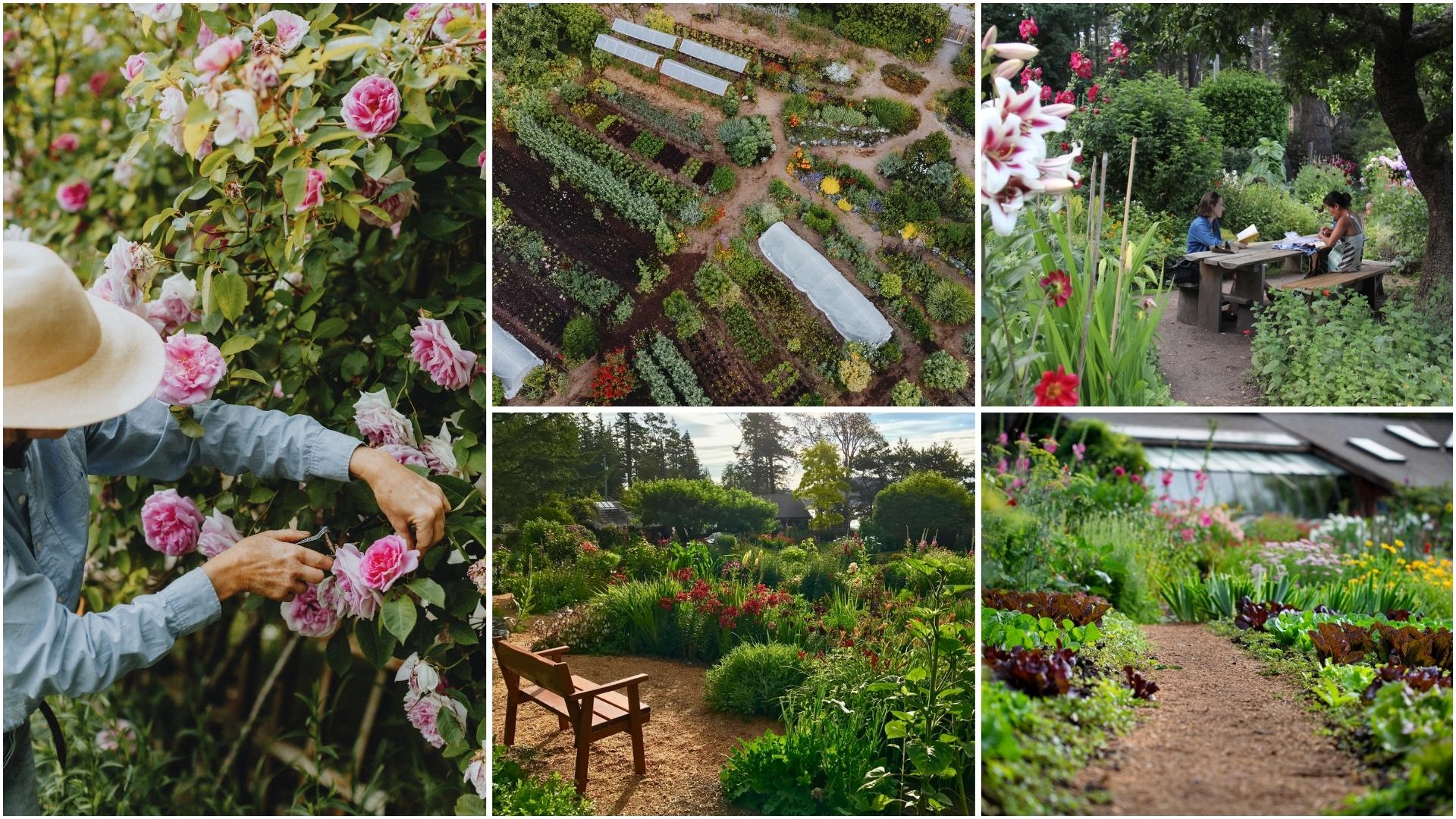 The Hollyhock Garden is a botanical paradise
