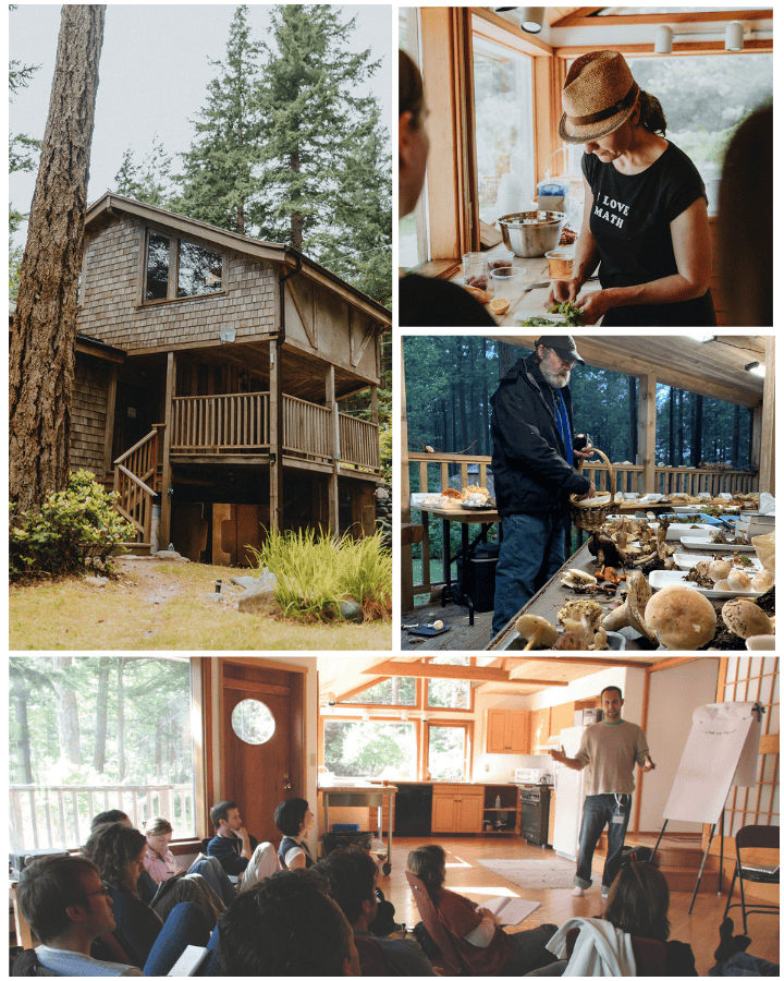 Hollyhock Bluff House