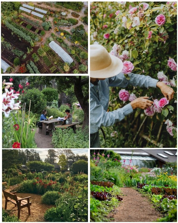 Our beautiful gardens are full of color and life
