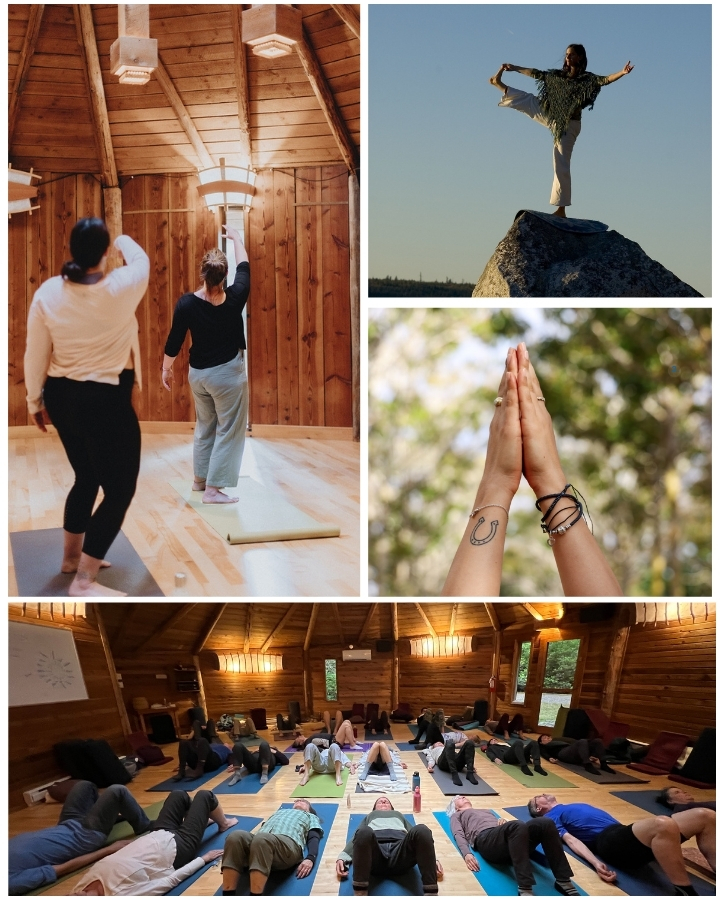 Morning Yoga, Tai Chi and Movement Classes